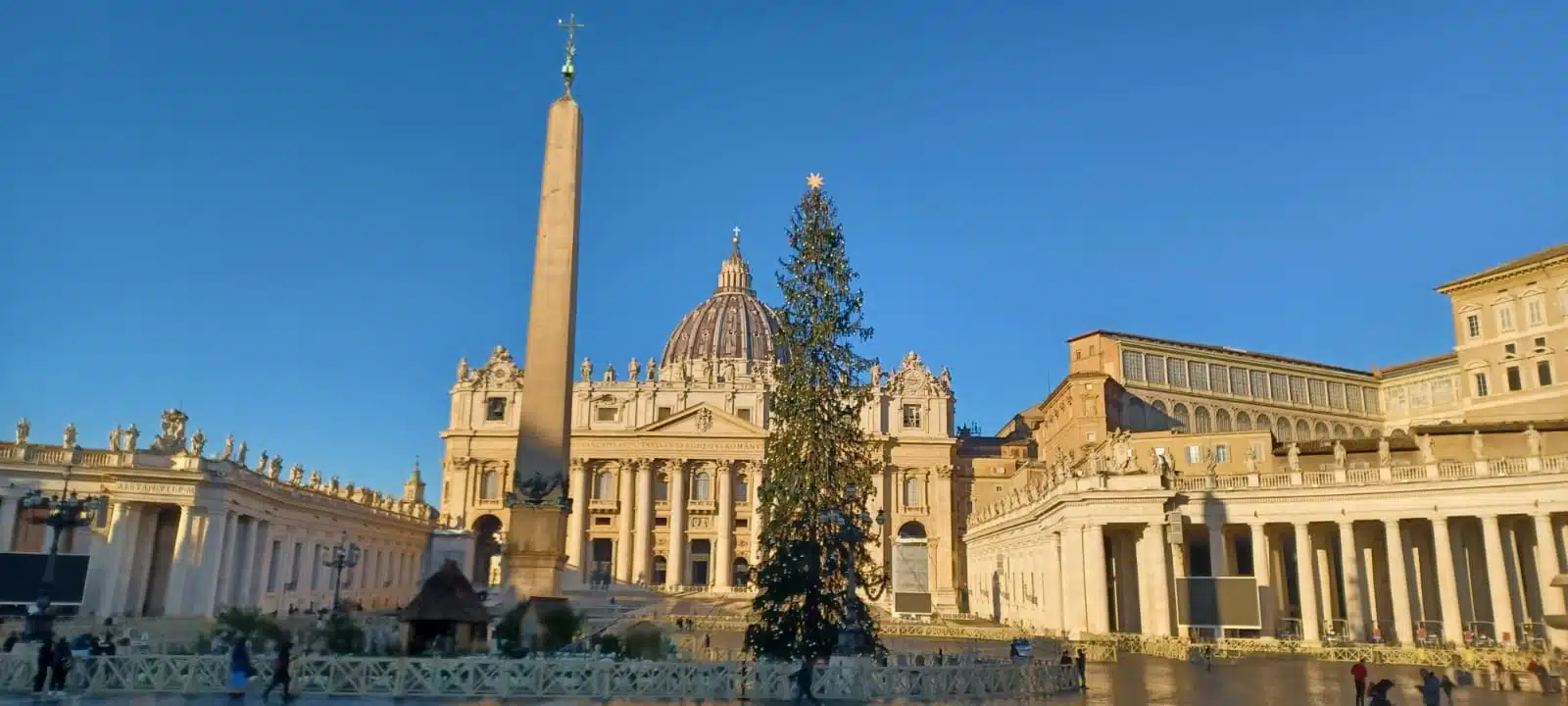 plaza san pedro en navidad